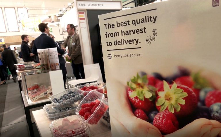 Las exportaciones de frutos rojos de Andalucía