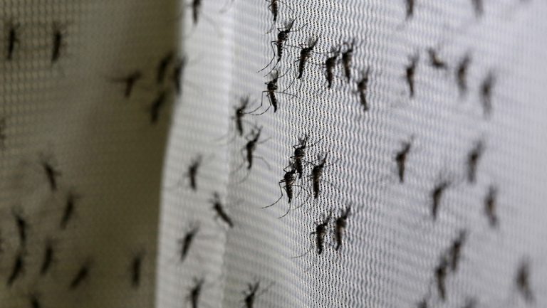 Varios casos de meningoencefalitis en España