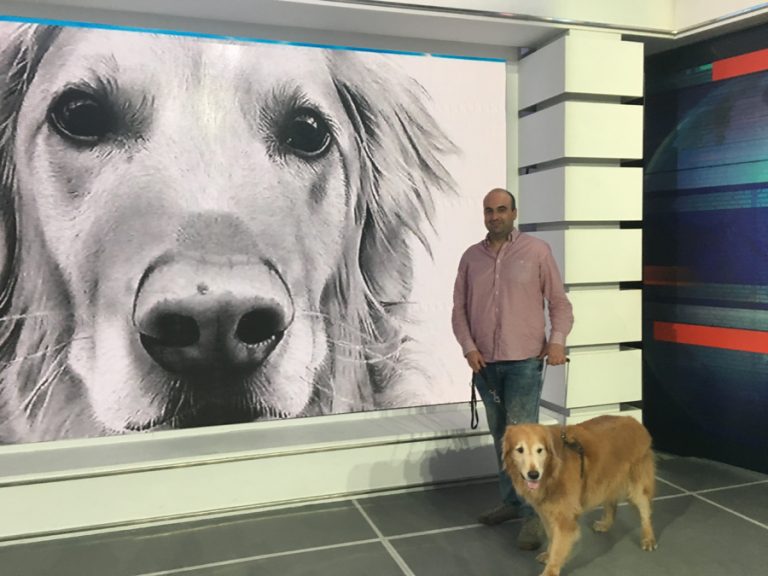 Entre vírgenes y perros
