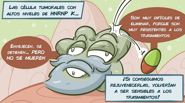 El rejuvenecimiento celular podría mejorar tratamientos