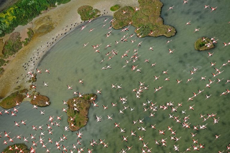 Doñana: Evitar la sobreexplotación del acuífero