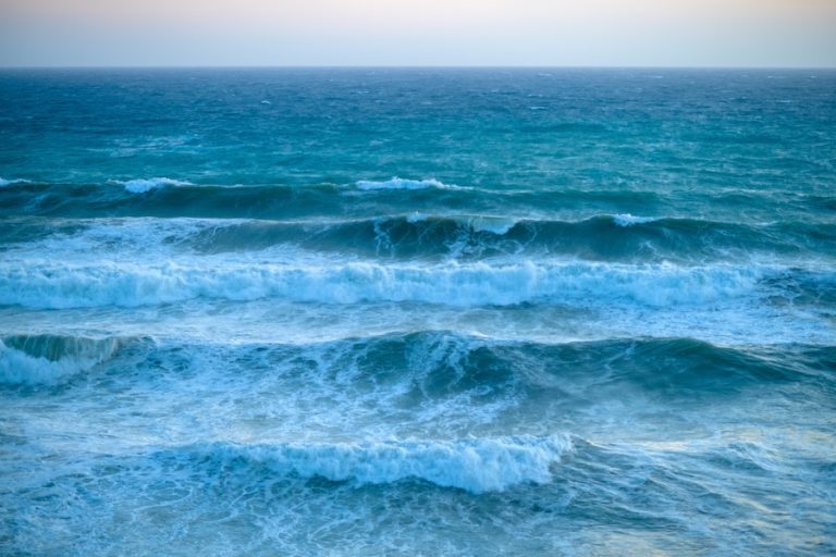 El descenso del oxígeno en los océanos amenaza a las poblaciones de peces de aguas profundas y a la salud de los océanos