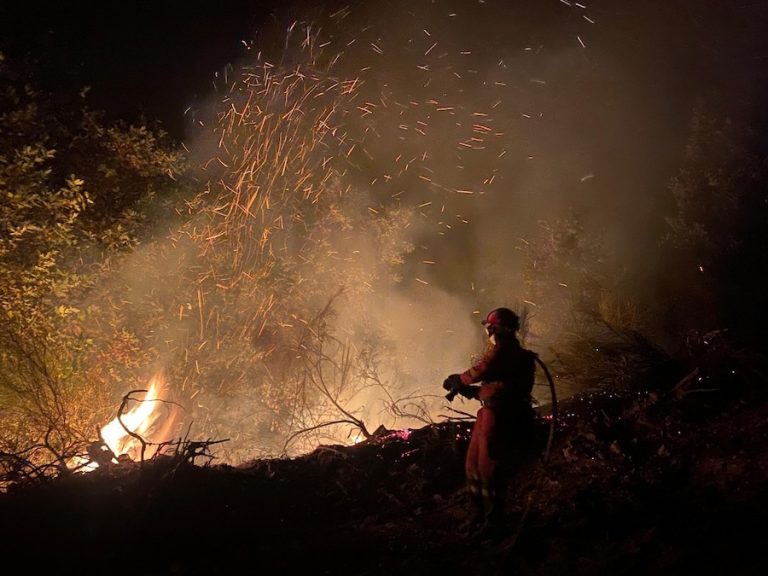Más de 5.600 militares han participado en la lucha contra los incendios forestales