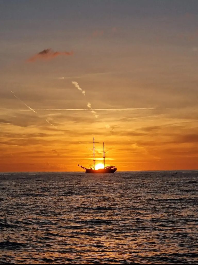 El hombre nuevo. Diario de viaje de la Global Sumud Flotilla