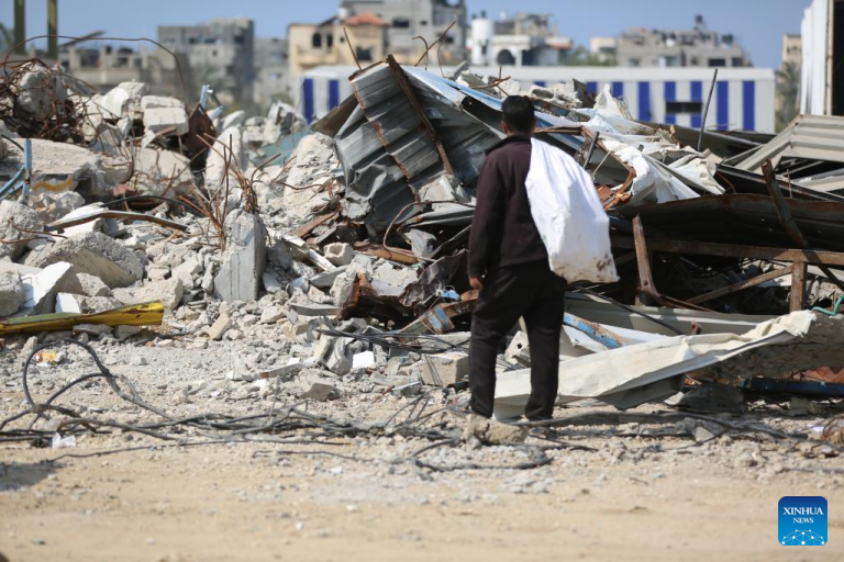 Hay que redoblar la lucha por una paz justa y una Palestina libre