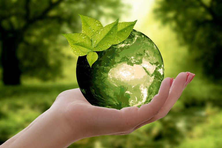 Más de 500 lobistas de captura y almacenamiento de CO2 se cuelan en Belém
