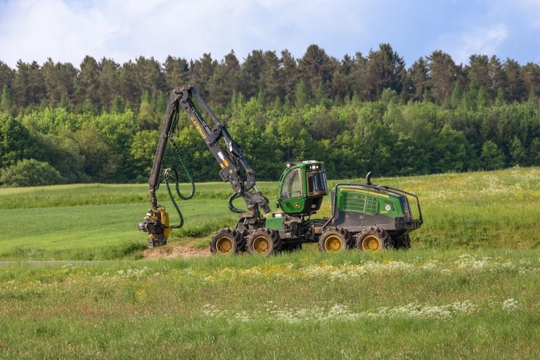 El Partido Verde exige un giro radical en la política forestal andaluza